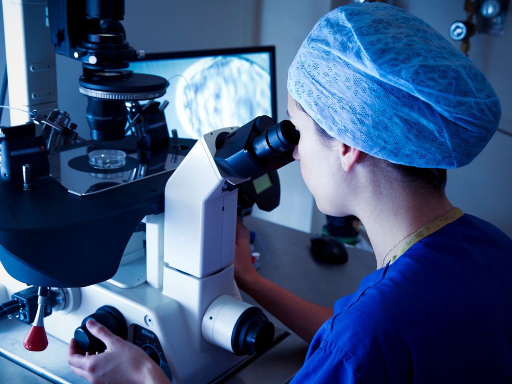 IVF 