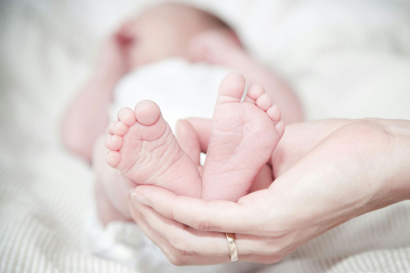 Nest and Co. fertility and surrogacy agency